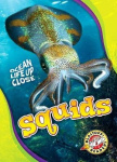 Squids