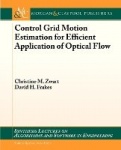 Control Grid Motion Estimation for Efficient Application of Optical Flow