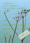 Lockdown Diary 2