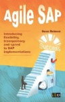 Agile SAP - Introducing flexibility, transparency and speed to SAP implementations