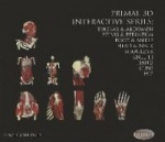 Primal Interactive 9 Volume Dv