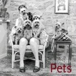 Pets