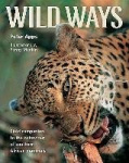 Wild Ways
