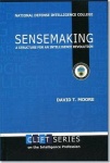 Sensemaking: A Structure for an Intelligence Revolution