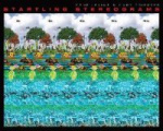 Startling Stereograms