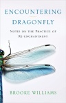 Encountering Dragonfly - Notes on the Re-enchantment of the World