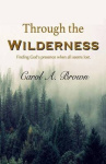 Through The Wilderness - Finding God's presence when all seems lost.