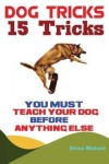 Dog Tricks - 15 Tricks You Must Teach Your Dog before Anything Else