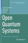 Open Quantum Systems - A Mathematical Perspective