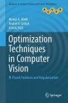 Optimization Techniques in Computer Vision : Ill-Posed Problems and Regularization