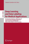 Deep Learning and Data Labeling for Medical Applications - First International Workshop, LABELS 2016, and Second International W
