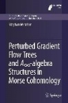 Perturbed Gradient Flow Trees and A∞-algebra Structures in Morse Cohomology