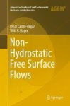 Non-Hydrostatic Free Surface Flows