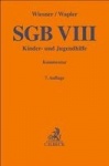 SGB VIII
