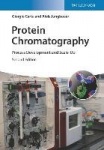 Protein Chromatography - Process Development and Scale-Up