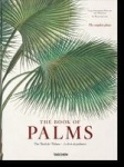 Martius - The Book of Palms