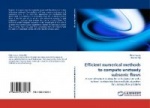 Efficient Numerical Methods to Compute Unsteady Subsonic Flows