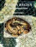 Python Regius. Der Königspython