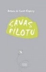 Savas Pilotu