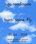 Ugo Rondinone (Bilingual edition) - burn shine fly