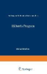 Hilbert’s Program - An Essay on Mathematical Instrumentalism