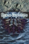 Space Explorers