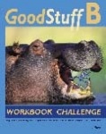 Good Stuff B Workbook Challenge