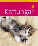 Kattungar