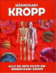 Människans kropp