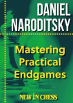 Mastering Practical Endgames