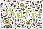 SURR