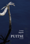Puitse : esseitä