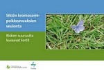 Sikiön kromosomipoikkeavuuksien seulonta - riskien suuruutta kuvaavat kortit