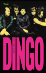 Dingo