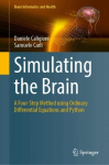 Simulating the Brain - A Four-Step Method Using Ordinary Differential Equations and Python